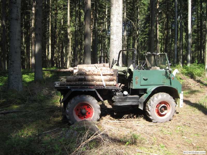 UNIMOG beim Holz machen